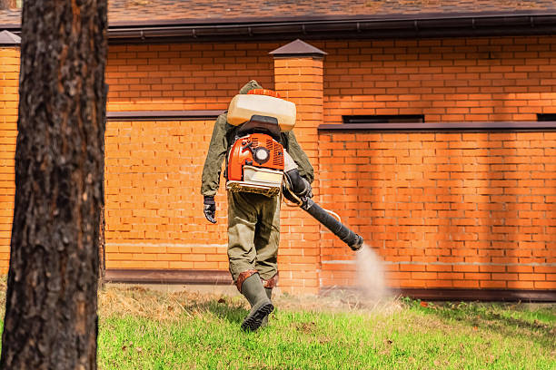 Trusted Bed Bug Control service in Keedysville, MD - Nex Pest Control